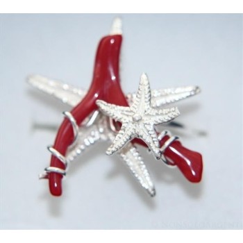 NSA| Stella e stellina marina